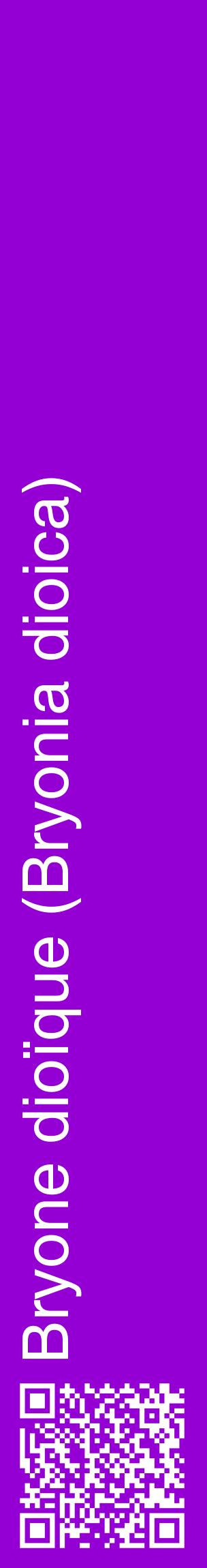 Étiquette de : Bryonia dioica - format c - style blanche48_basiquehel avec qrcode et comestibilité