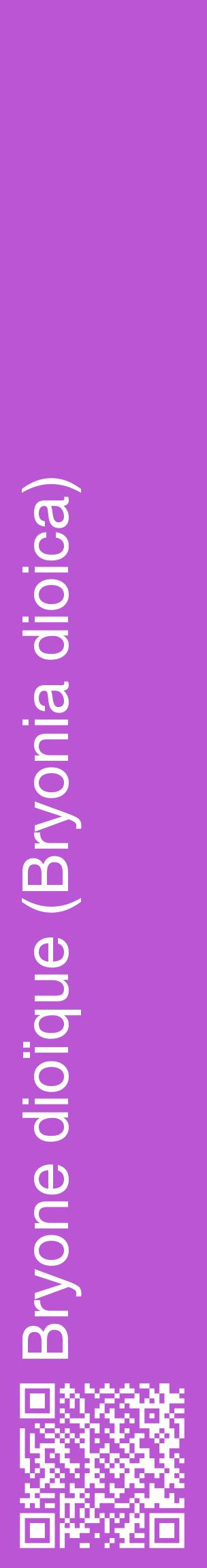 Étiquette de : Bryonia dioica - format c - style blanche50_basiquehel avec qrcode et comestibilité