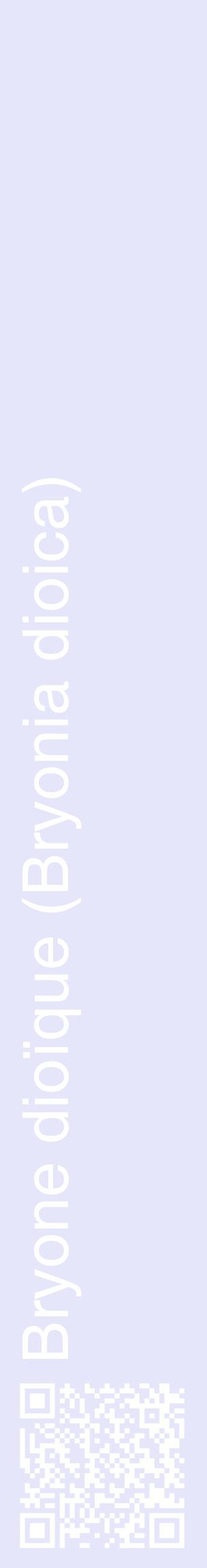 Étiquette de : Bryonia dioica - format c - style blanche55_basiquehel avec qrcode et comestibilité
