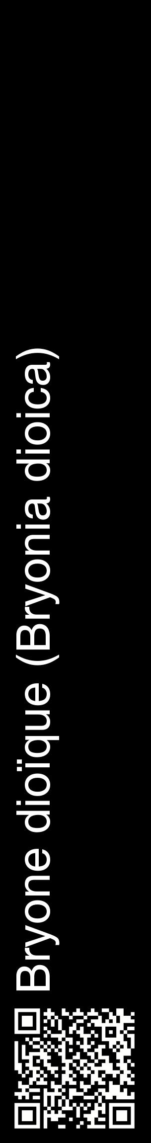 Étiquette de : Bryonia dioica - format c - style blanche59_basiquehel avec qrcode et comestibilité