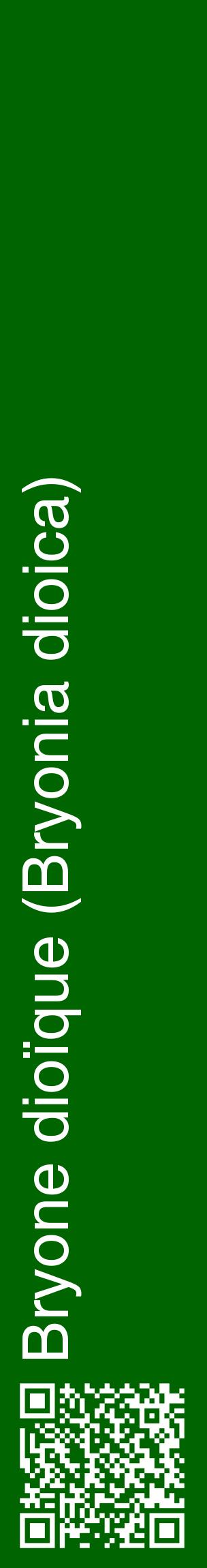 Étiquette de : Bryonia dioica - format c - style blanche8_basiquehel avec qrcode et comestibilité