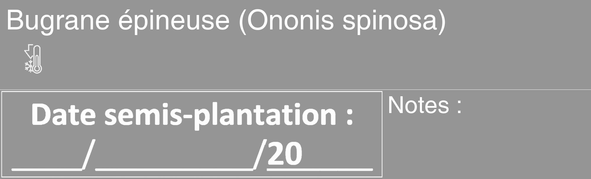 Étiquette de : Ononis spinosa - format c - style blanche16_basique_basiquehel avec comestibilité