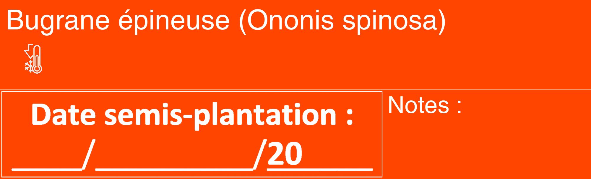 Étiquette de : Ononis spinosa - format c - style blanche26_basique_basiquehel avec comestibilité