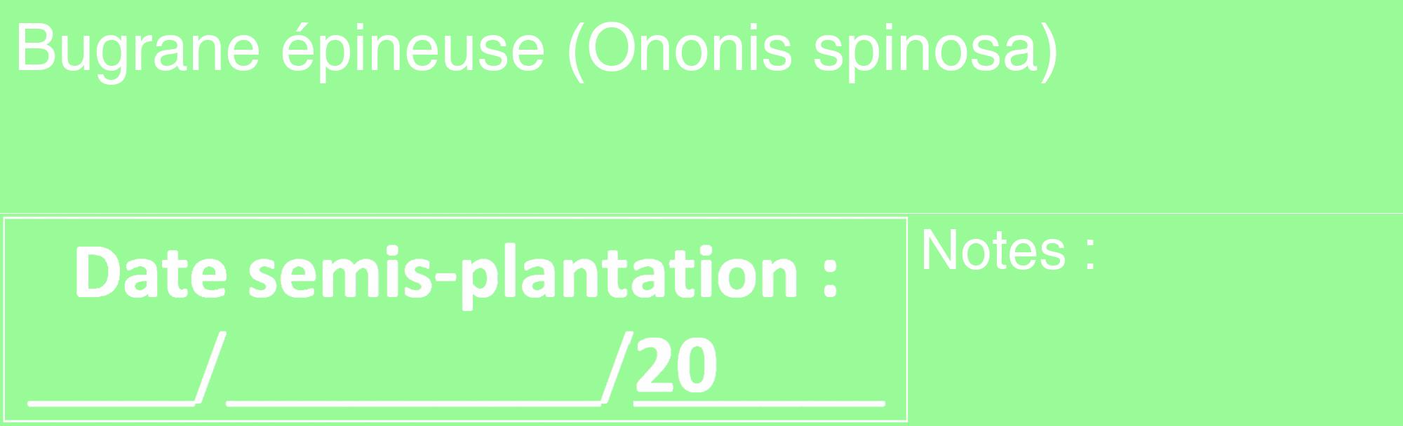 Étiquette de : Ononis spinosa - format c - style blanche14_basique_basiquehel avec comestibilité