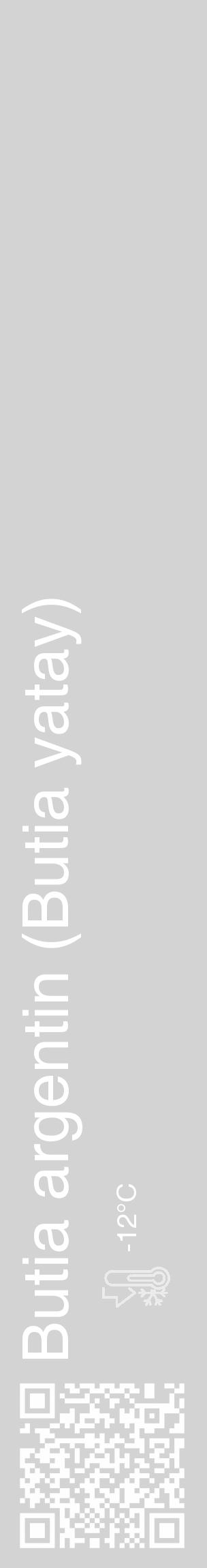 Étiquette de : Butia yatay - format c - style blanche56_basique_basiquehel avec qrcode et comestibilité - position verticale