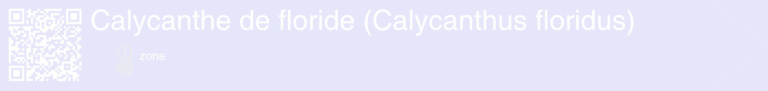 Étiquette de : Calycanthus floridus - format c - style blanche55_simple_simplehel avec qrcode et comestibilité