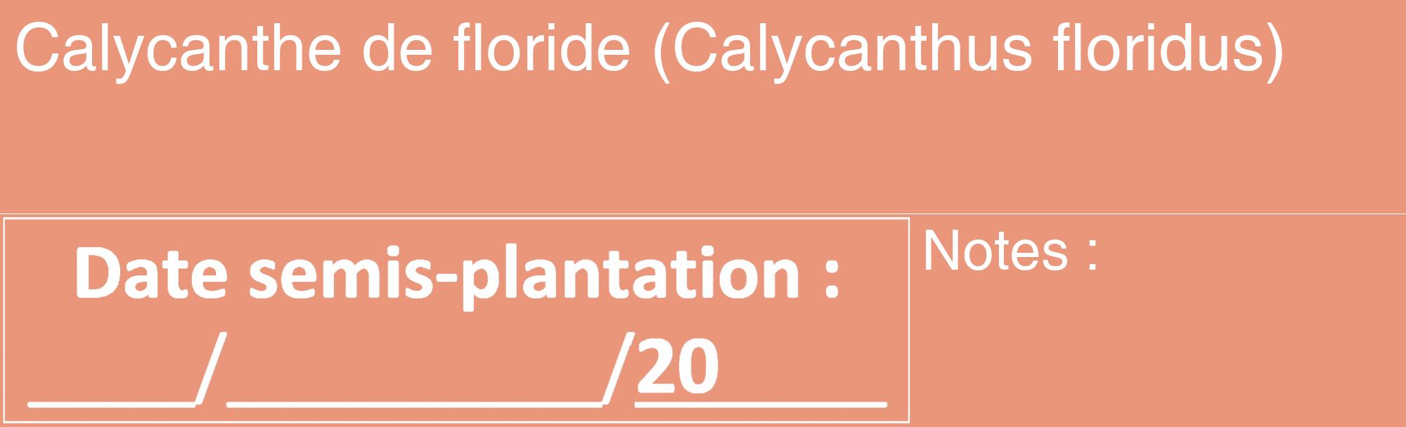 Étiquette de : Calycanthus floridus - format c - style blanche37_basique_basiquehel avec comestibilité