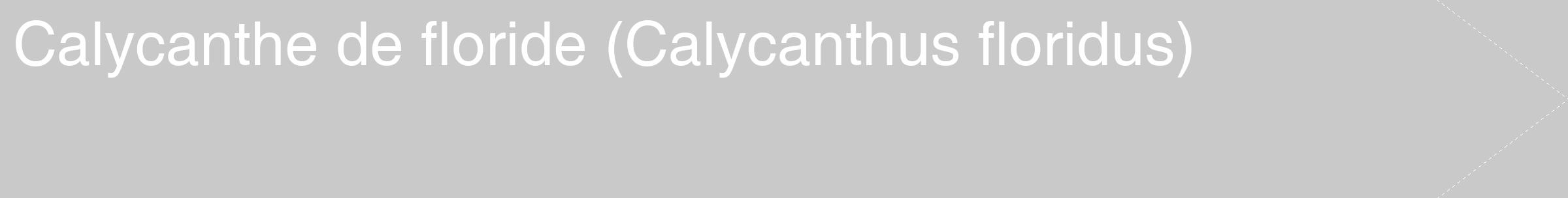 Étiquette de : Calycanthus floridus - format c - style blanche54_simple_simplehel avec comestibilité