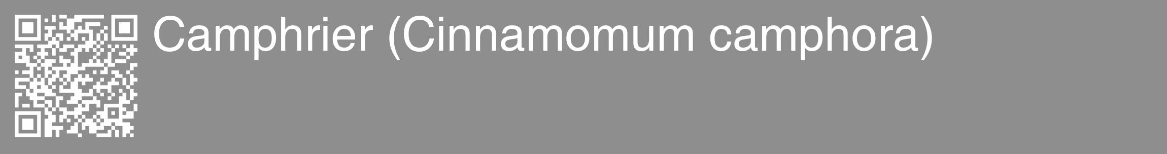 Étiquette de : Cinnamomum camphora - format c - style blanche25_basique_basiquehel avec qrcode et comestibilité