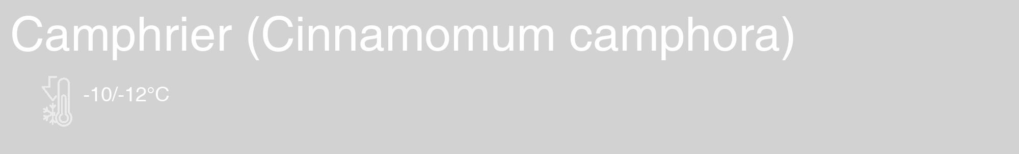 Étiquette de : Cinnamomum camphora - format c - style blanche14_basique_basiquehel avec comestibilité