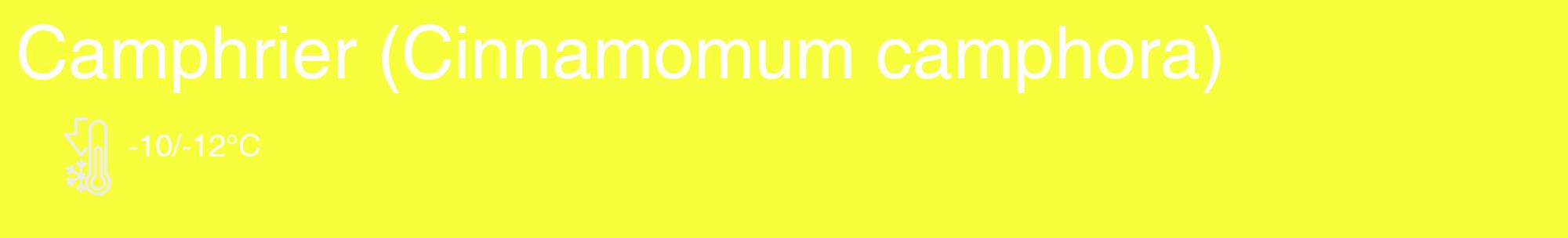 Étiquette de : Cinnamomum camphora - format c - style blanche18_basique_basiquehel avec comestibilité
