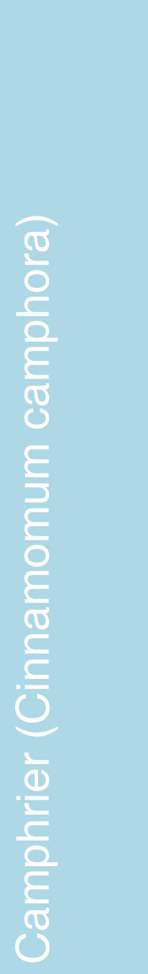 Étiquette de : Cinnamomum camphora - format c - style blanche0_basiquehel avec comestibilité