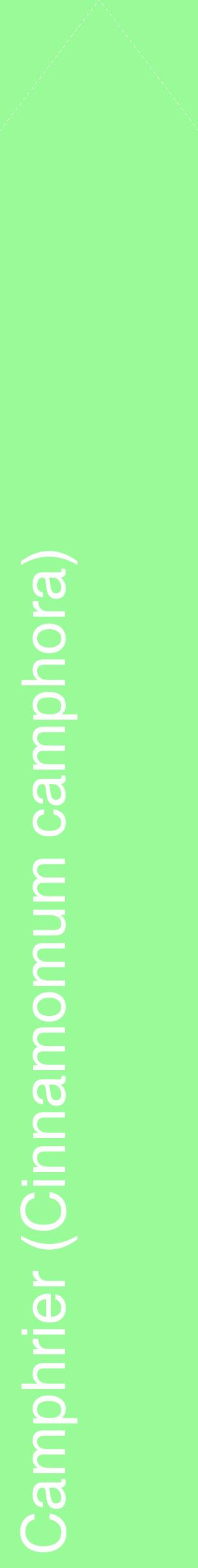 Étiquette de : Cinnamomum camphora - format c - style blanche14_simplehel avec comestibilité