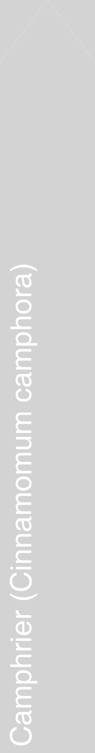 Étiquette de : Cinnamomum camphora - format c - style blanche56_simplehel avec comestibilité