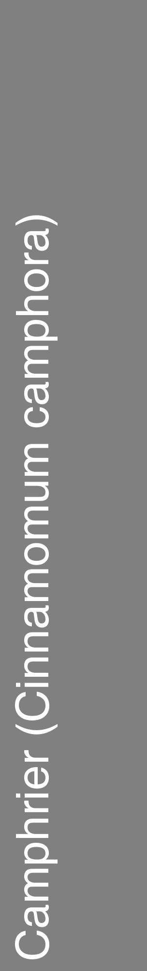 Étiquette de : Cinnamomum camphora - format c - style blanche57_basiquehel avec comestibilité