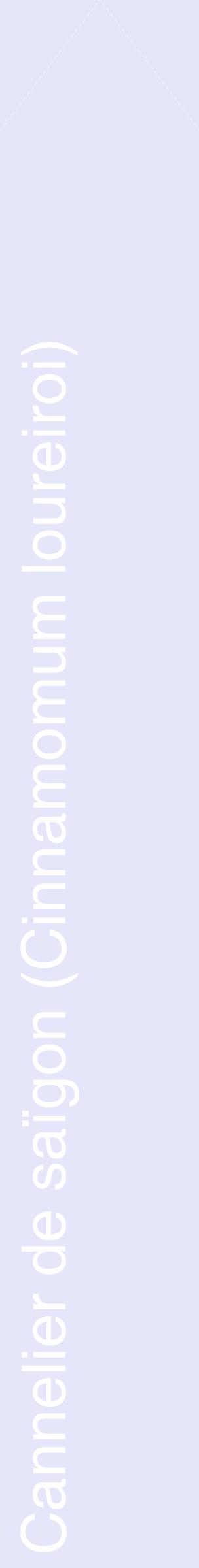 Étiquette de : Cinnamomum loureiroi - format c - style blanche55_simplehel avec comestibilité