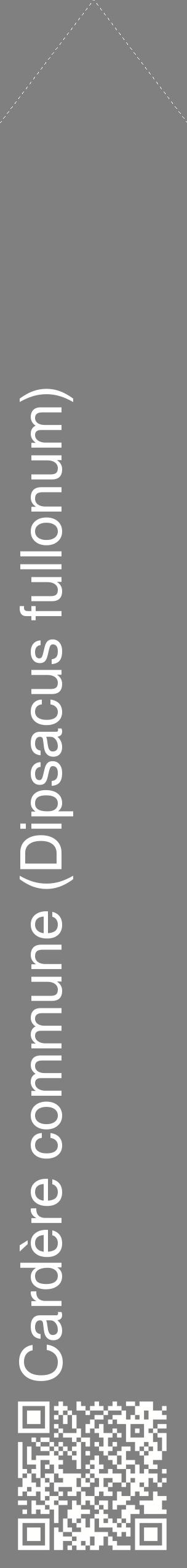 Étiquette de : Dipsacus fullonum - format c - style blanche57_simplehel avec qrcode et comestibilité