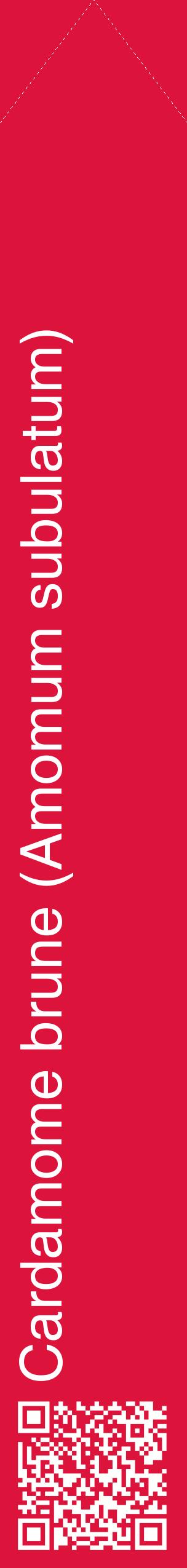 Étiquette de : Amomum subulatum - format c - style blanche36_simplehel avec qrcode et comestibilité