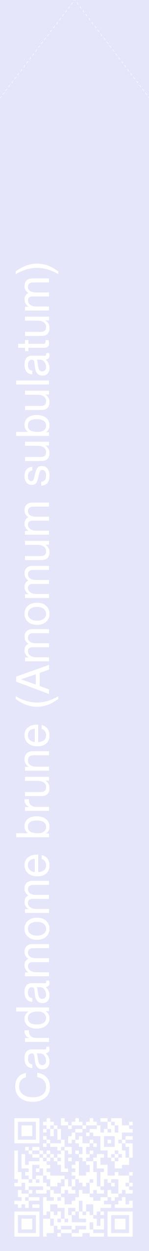 Étiquette de : Amomum subulatum - format c - style blanche55_simplehel avec qrcode et comestibilité