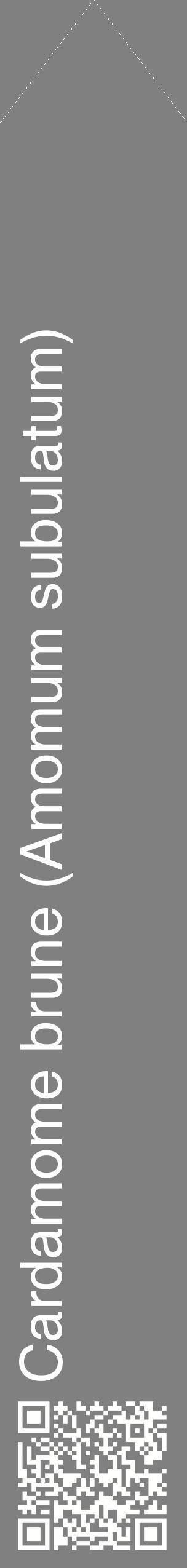 Étiquette de : Amomum subulatum - format c - style blanche57_simplehel avec qrcode et comestibilité