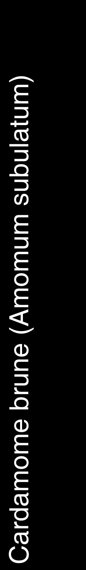 Étiquette de : Amomum subulatum - format c - style blanche59_basiquehel avec comestibilité