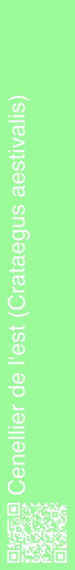 Étiquette de : Crataegus aestivalis - format c - style blanche14_basiquehel avec qrcode et comestibilité