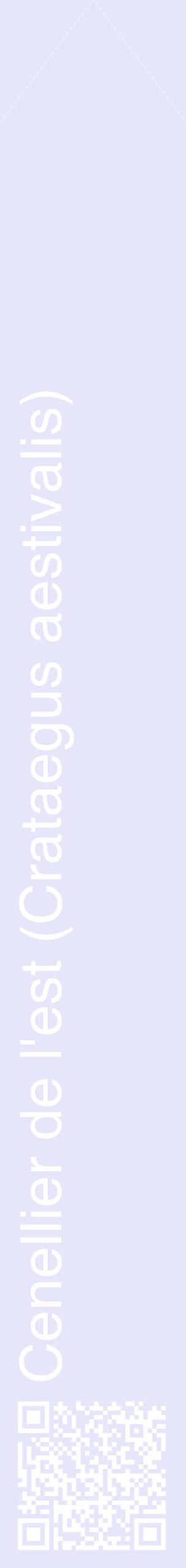 Étiquette de : Crataegus aestivalis - format c - style blanche55_simplehel avec qrcode et comestibilité
