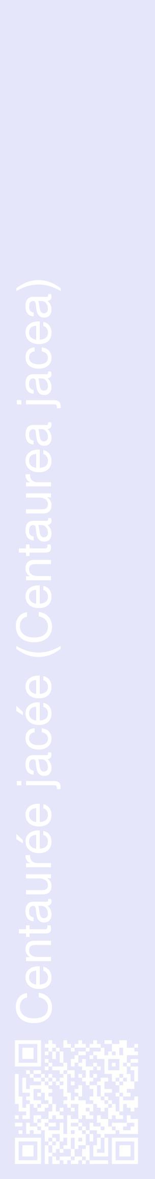 Étiquette de : Centaurea jacea - format c - style blanche55_basiquehel avec qrcode et comestibilité