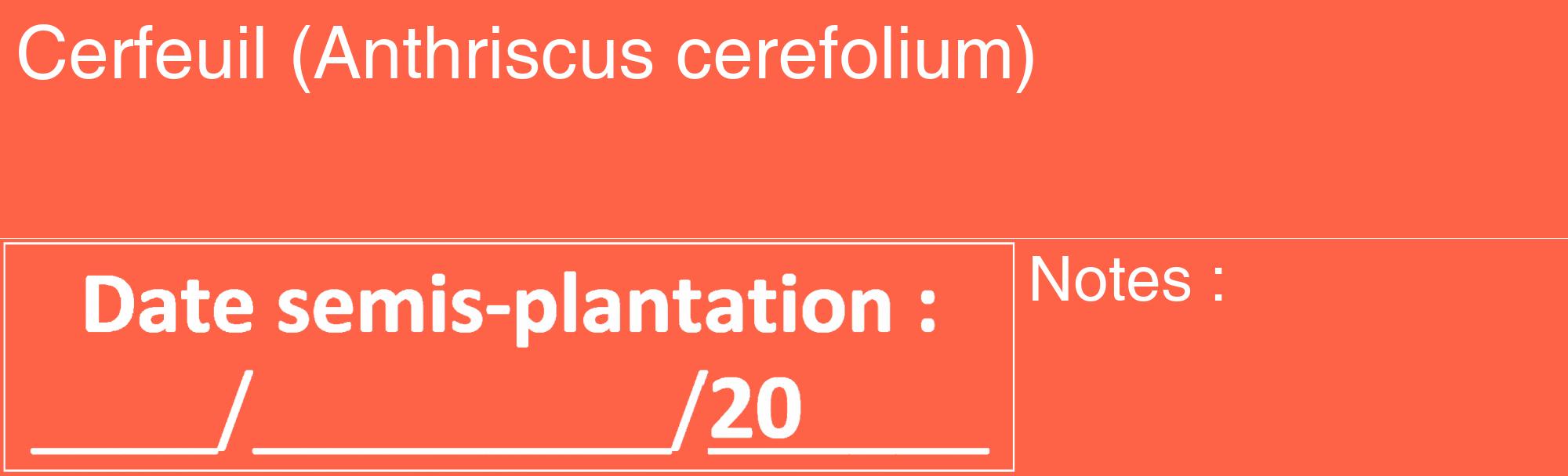 Étiquette de : Anthriscus cerefolium - format c - style blanche25_basique_basiquehel avec comestibilité