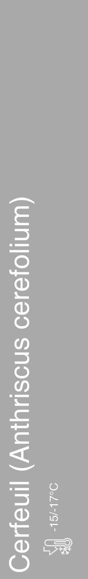 Étiquette de : Anthriscus cerefolium - format c - style blanche13_basique_basiquehel avec comestibilité - position verticale