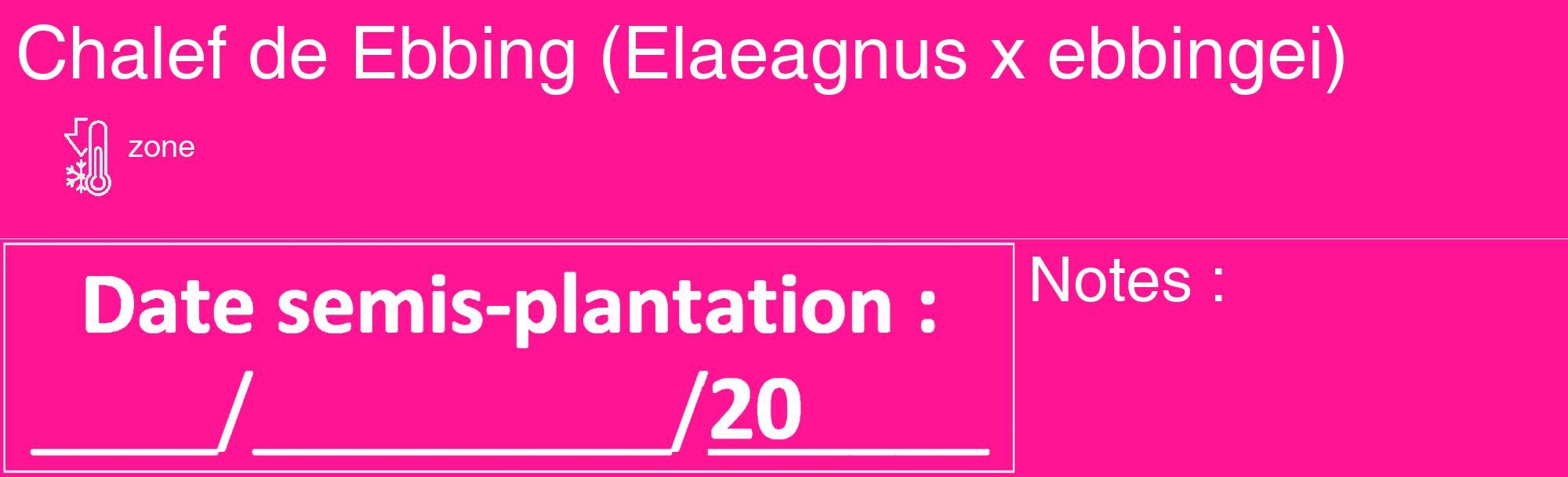 Étiquette de : Elaeagnus x ebbingei - format c - style blanche43_basique_basiquehel avec comestibilité