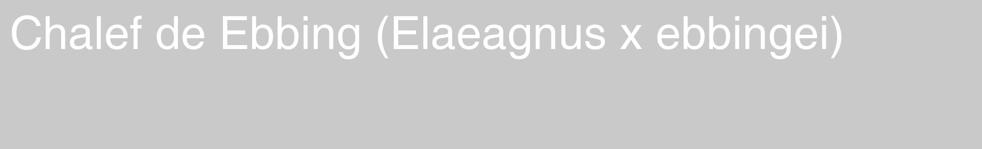 Étiquette de : Elaeagnus x ebbingei - format c - style blanche54_basique_basiquehel avec comestibilité