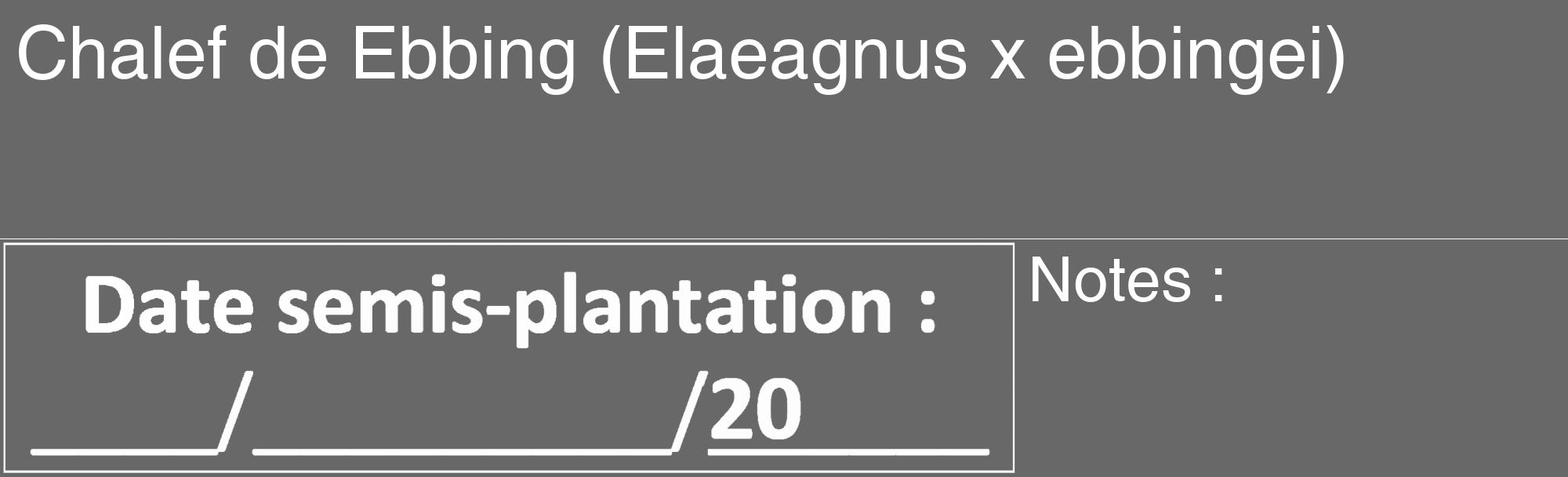 Étiquette de : Elaeagnus x ebbingei - format c - style blanche6_basique_basiquehel avec comestibilité
