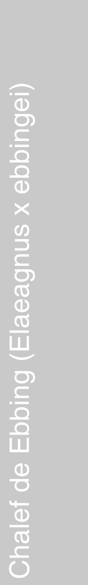 Étiquette de : Elaeagnus x ebbingei - format c - style blanche54_basique_basiquehel avec comestibilité - position verticale