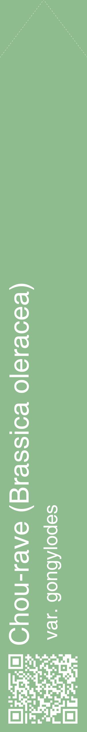 Étiquette de : Brassica oleracea var. gongylodes - format c - style blanche13_simplehel avec qrcode et comestibilité