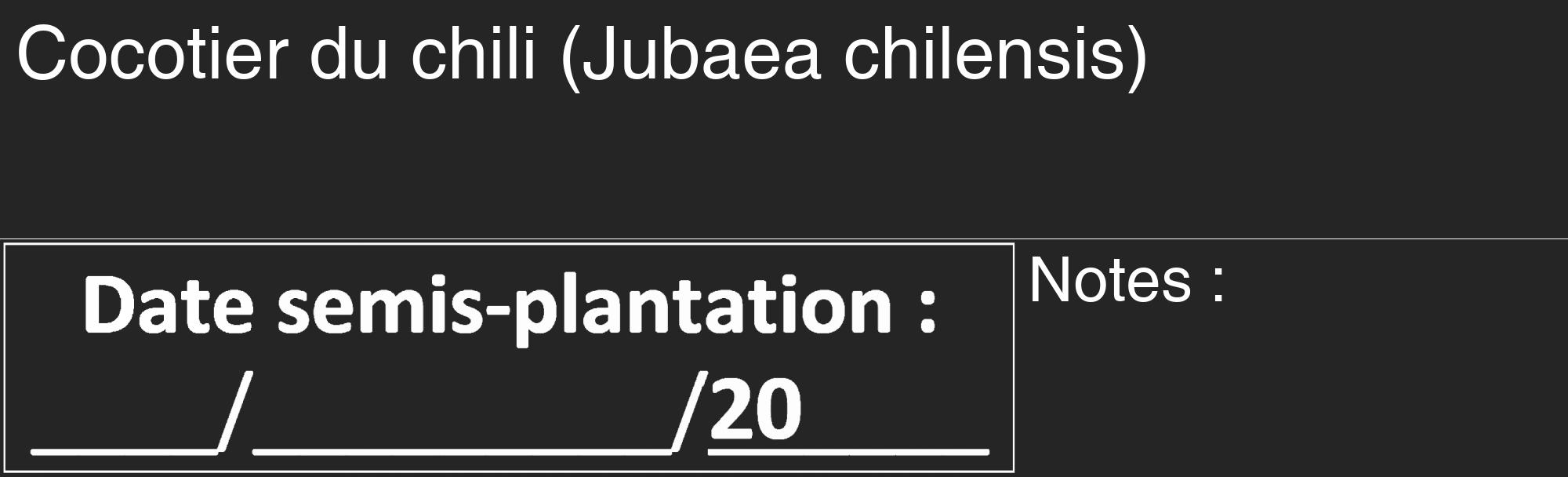Étiquette de : Jubaea chilensis - format c - style blanche47_basique_basiquehel avec comestibilité