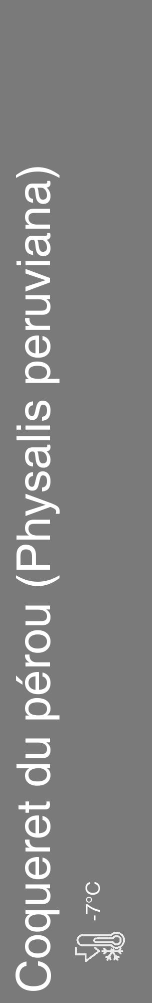 Étiquette de : Physalis peruviana - format c - style blanche3_basique_basiquehel avec comestibilité - position verticale