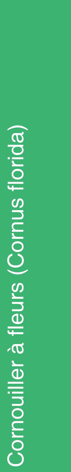 Étiquette de : Cornus florida - format c - style blanche12_basiquehel avec comestibilité