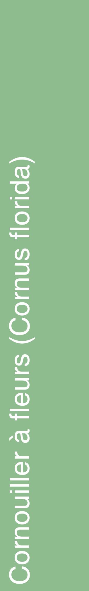 Étiquette de : Cornus florida - format c - style blanche13_basiquehel avec comestibilité