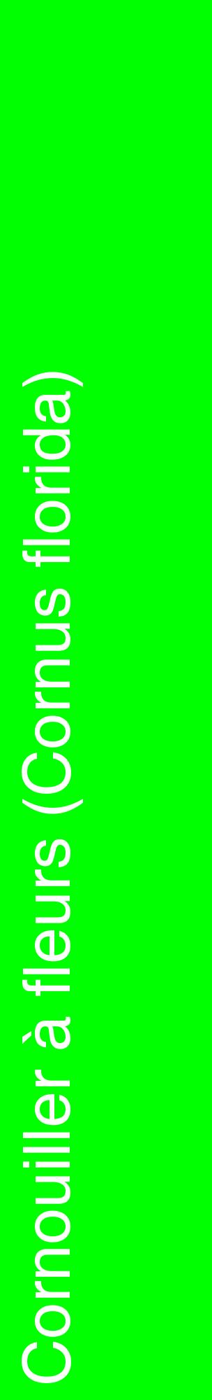 Étiquette de : Cornus florida - format c - style blanche16_basiquehel avec comestibilité