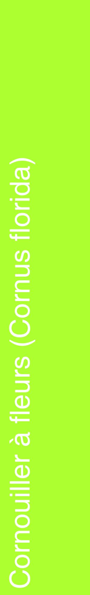 Étiquette de : Cornus florida - format c - style blanche17_basiquehel avec comestibilité