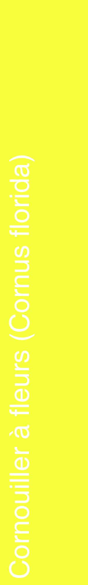 Étiquette de : Cornus florida - format c - style blanche18_basiquehel avec comestibilité
