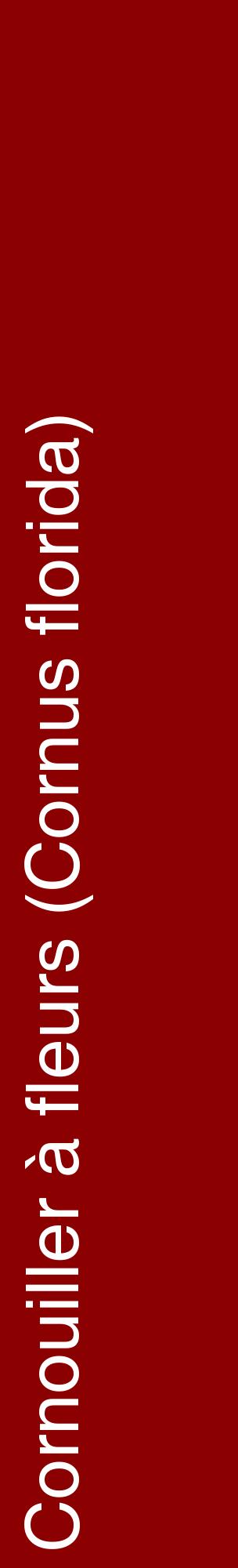 Étiquette de : Cornus florida - format c - style blanche34_basiquehel avec comestibilité