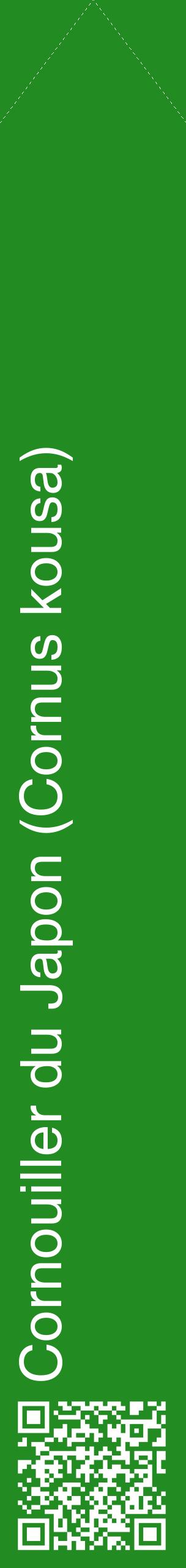 Étiquette de : Cornus kousa - format c - style blanche10_simplehel avec qrcode et comestibilité