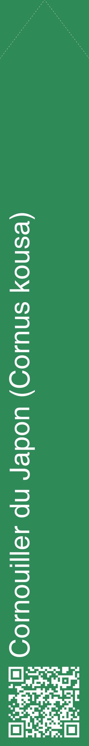 Étiquette de : Cornus kousa - format c - style blanche11_simplehel avec qrcode et comestibilité