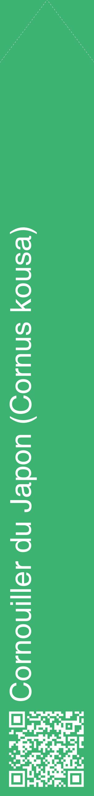 Étiquette de : Cornus kousa - format c - style blanche12_simplehel avec qrcode et comestibilité