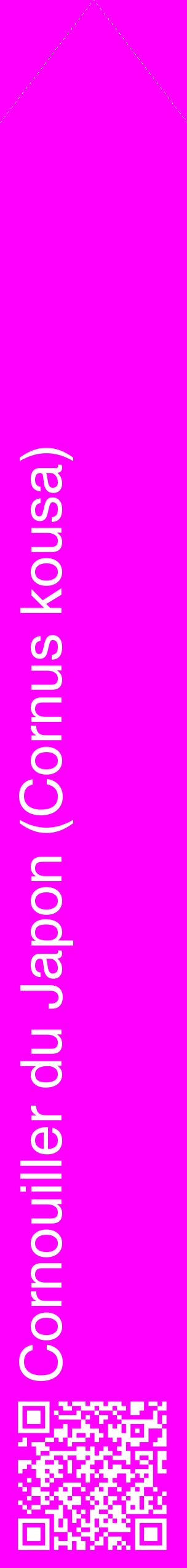 Étiquette de : Cornus kousa - format c - style blanche51_simplehel avec qrcode et comestibilité