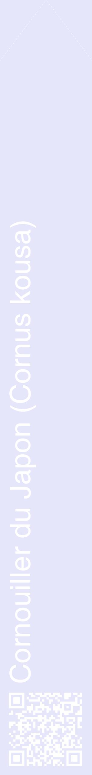 Étiquette de : Cornus kousa - format c - style blanche55_simplehel avec qrcode et comestibilité