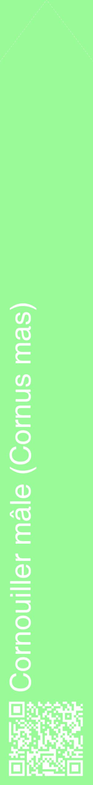 Étiquette de : Cornus mas - format c - style blanche14_simplehel avec qrcode et comestibilité