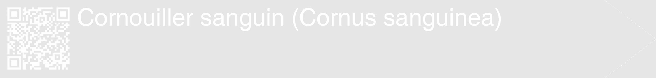 Étiquette de : Cornus sanguinea - format c - style blanche18_simple_simplehel avec qrcode et comestibilité